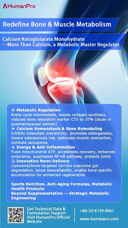 Depth Dive: How Calcium Ketoglutarate Monohydrate Enhances Bone and Muscle Metabolism Through Calcium Ion Regulation