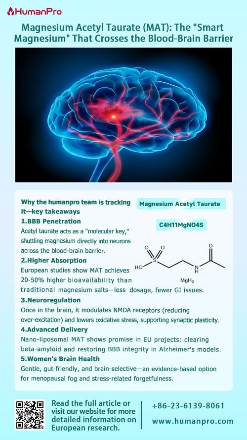 The "Magnesium" Secrets of Crossing the Blood-Brain Barrier: A Scientific Interpretation of Magnesium Acetyl Taurate (MAT)