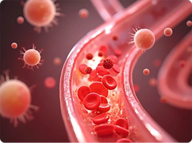 Cardiovascular Health
