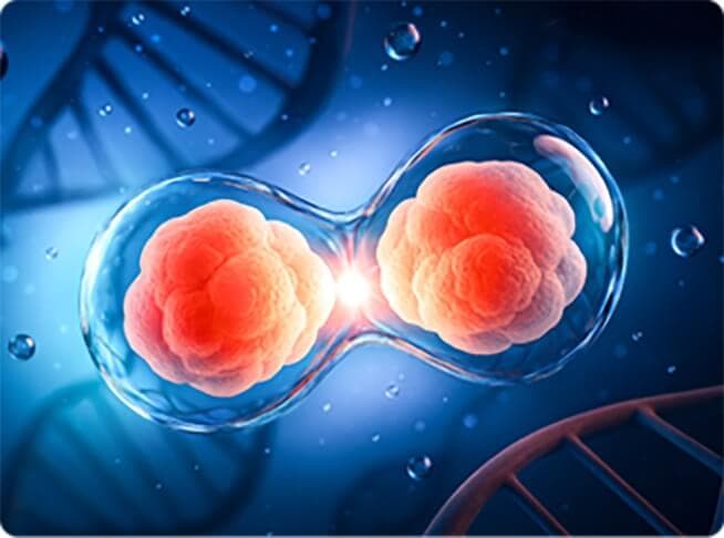 Cellular Health
