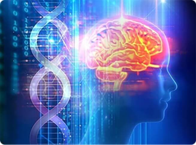 Cognitive Support