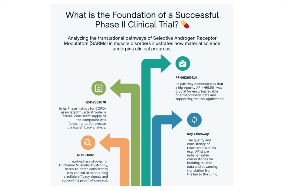 What is the foundation of a successful Phase II clinical trial?