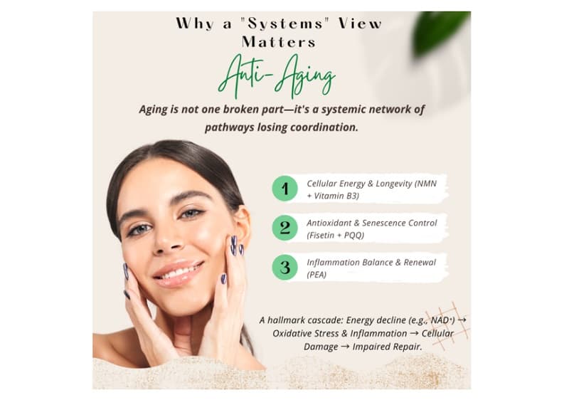 Why a "Systems" View Matters in Anti-Aging