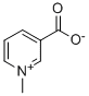 Trigonelline structure
