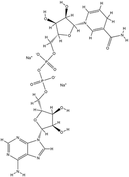 NADH structure