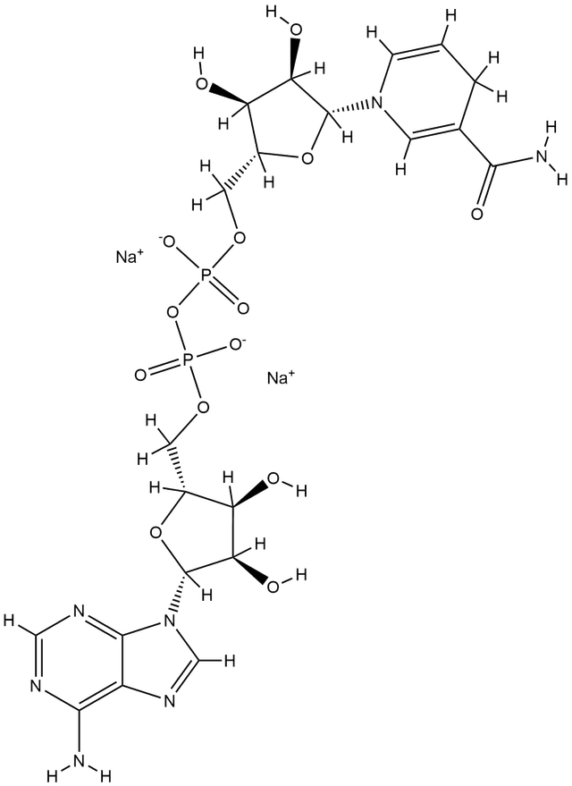NADH structure