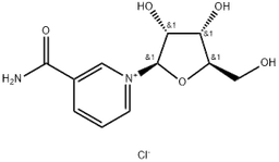 NR-CL structure