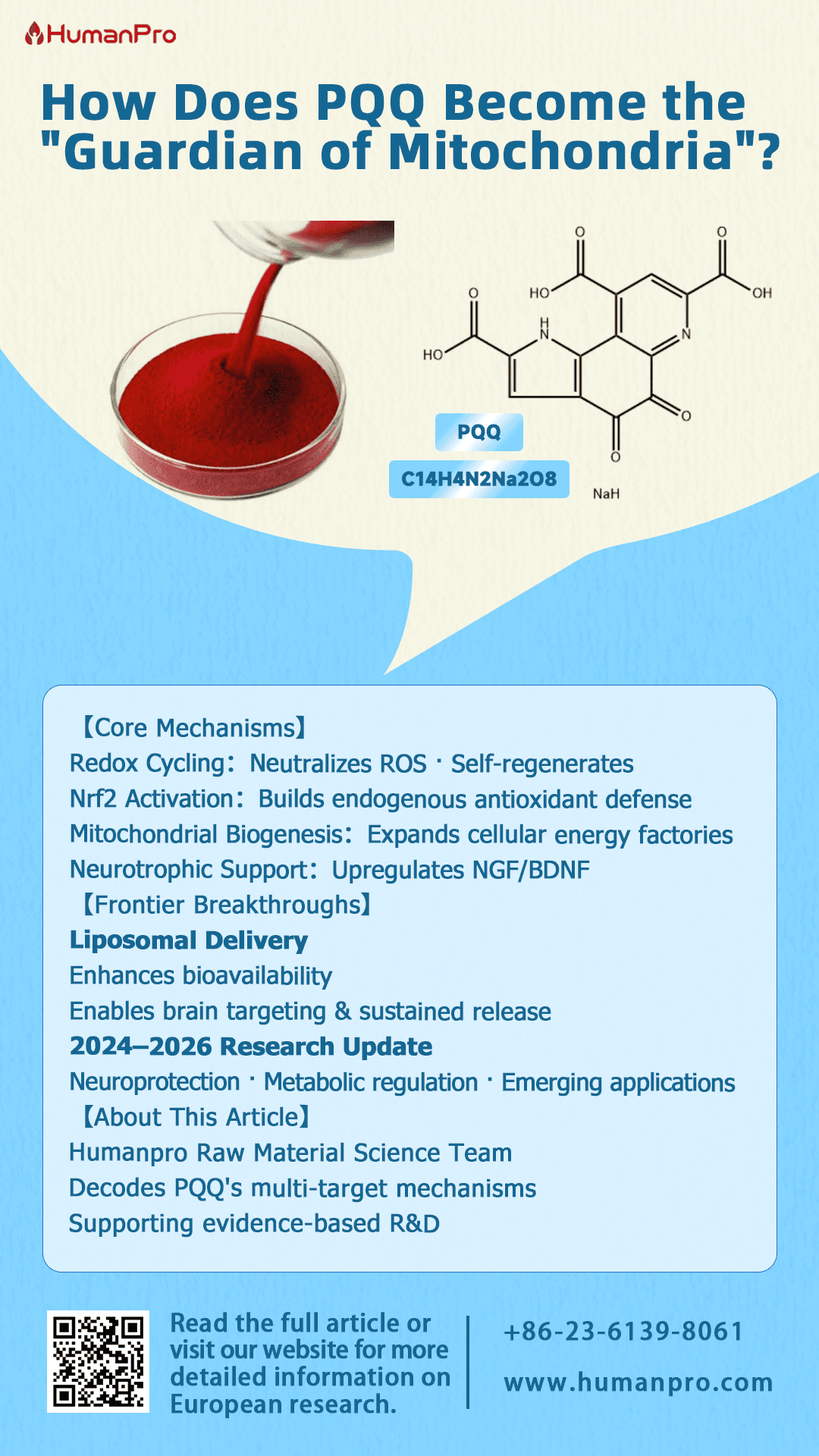 How Does PQQ Become the "Guardian of Mitochondria"?