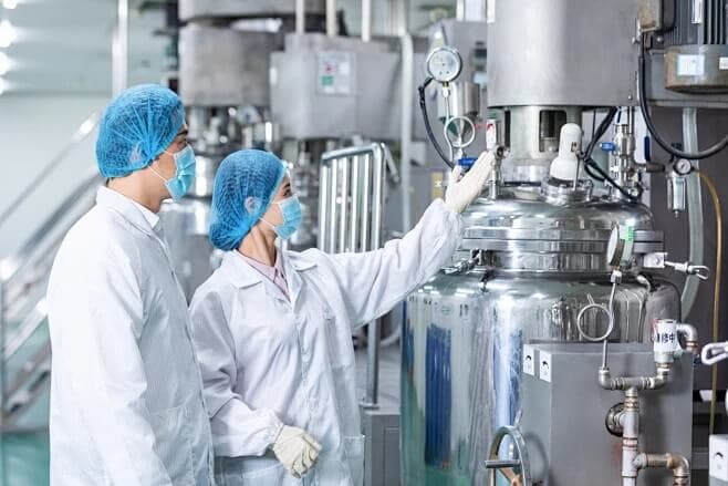 Process Validation & Pilot Scale-up